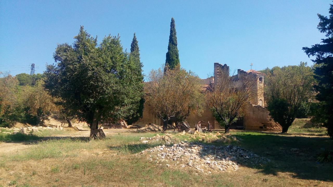 Les Cigales Bed & Breakfast Villelaure Dış mekan fotoğraf