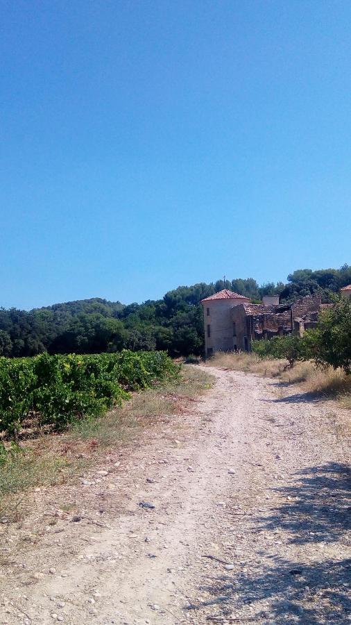 Les Cigales Bed & Breakfast Villelaure Dış mekan fotoğraf