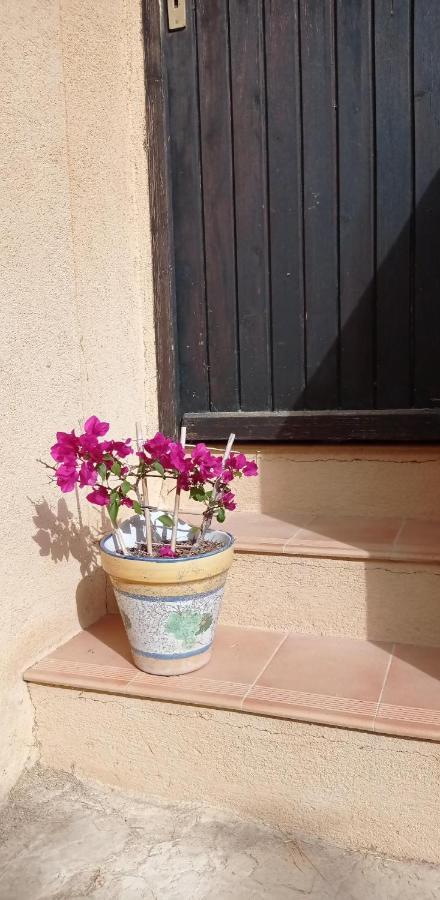 Les Cigales Bed & Breakfast Villelaure Dış mekan fotoğraf