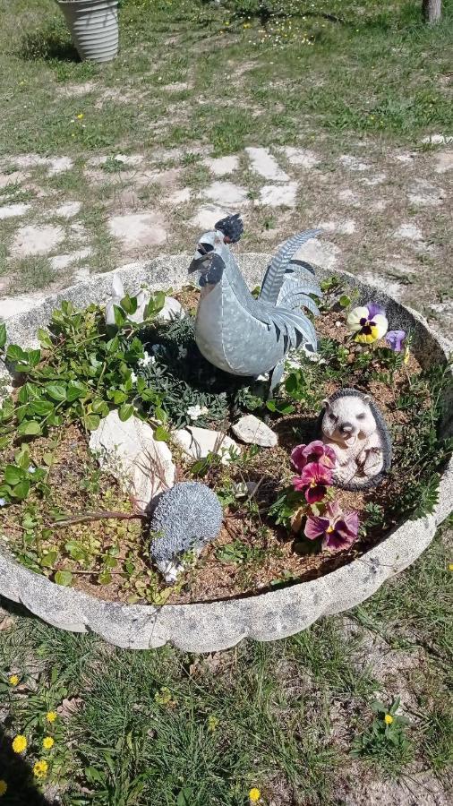 Les Cigales Bed & Breakfast Villelaure Dış mekan fotoğraf